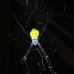 spidernusalavu_v_0705_2427.jpg